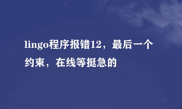 lingo程序报错12，最后一个约束，在线等挺急的