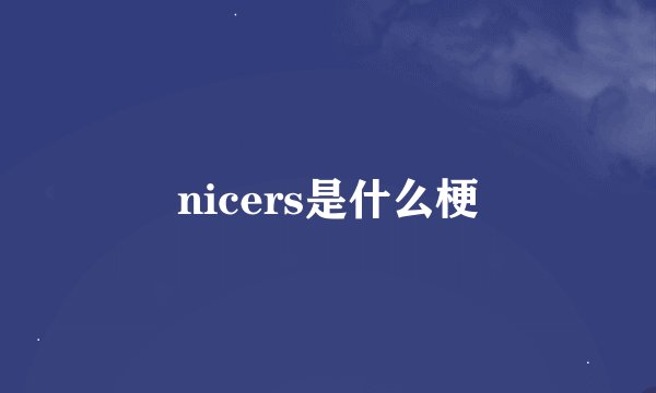 nicers是什么梗
