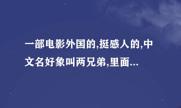 一部电影外国的,挺感人的,中文名好象叫两兄弟,里面还有一只老虎