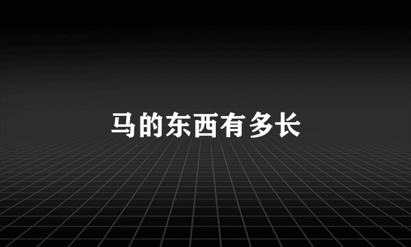 马的东西有多长