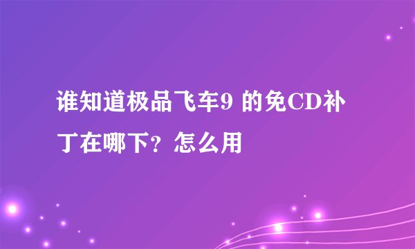 谁知道极品飞车9 的免CD补丁在哪下？怎么用