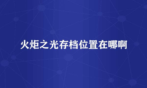 火炬之光存档位置在哪啊
