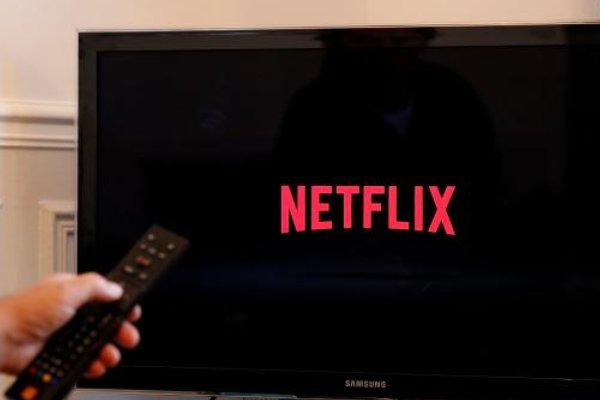 网飞是什么意思