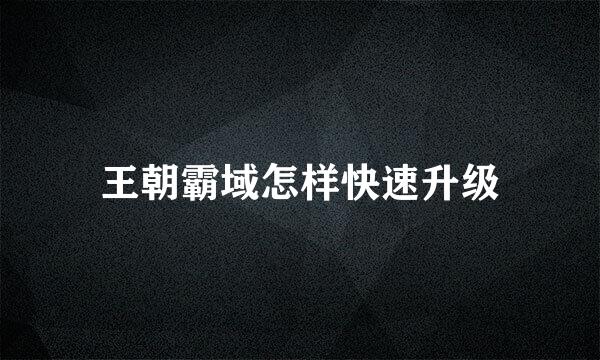 王朝霸域怎样快速升级