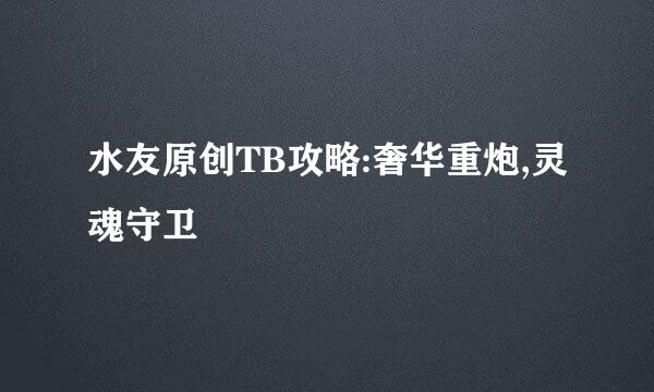 水友原创TB攻略:奢华重炮,灵魂守卫