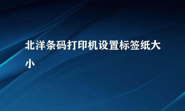 北洋条码打印机设置标签纸大小