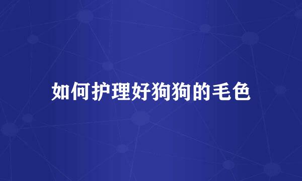 如何护理好狗狗的毛色