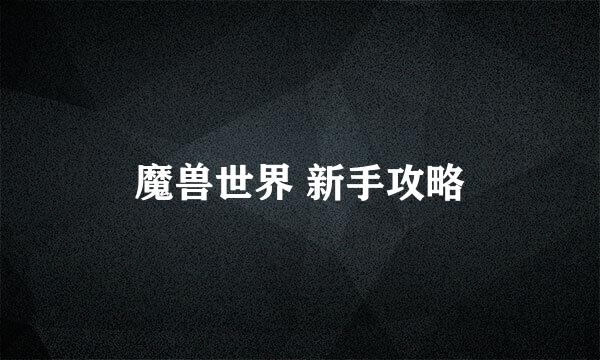 魔兽世界 新手攻略