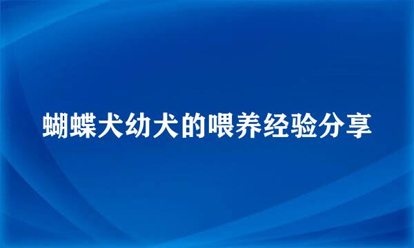 蝴蝶犬幼犬的喂养经验分享