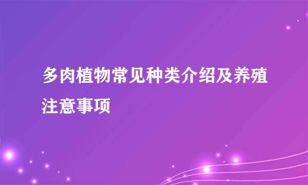 多肉植物常见种类介绍及养殖注意事项