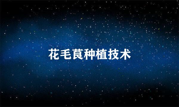 花毛茛种植技术
