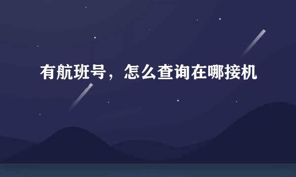 有航班号，怎么查询在哪接机
