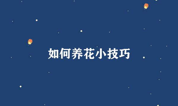 如何养花小技巧