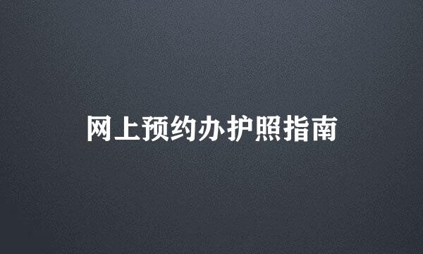 网上预约办护照指南