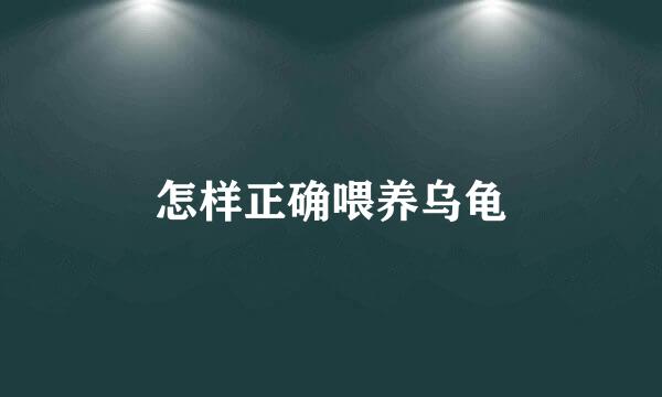怎样正确喂养乌龟