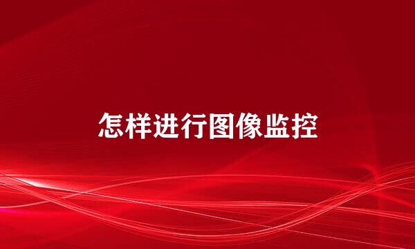怎样进行图像监控