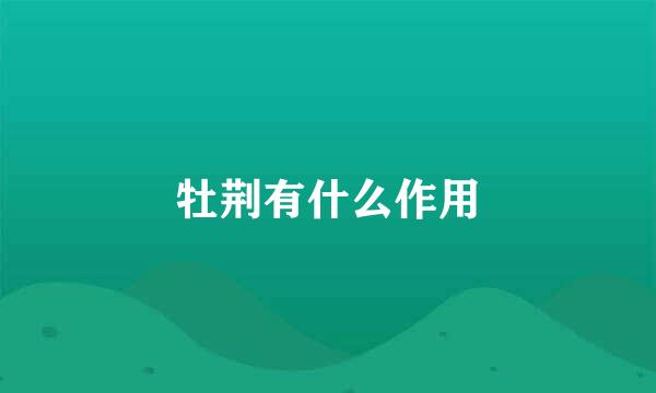 牡荆有什么作用