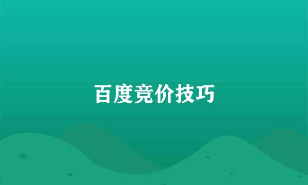 百度竞价技巧