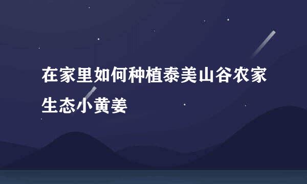 在家里如何种植泰美山谷农家生态小黄姜