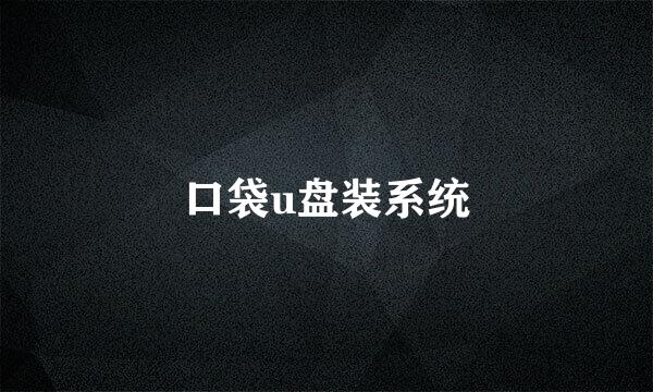 口袋u盘装系统