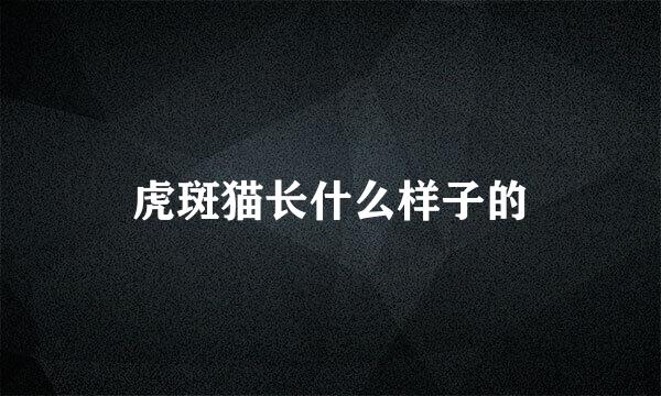 虎斑猫长什么样子的