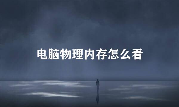 电脑物理内存怎么看