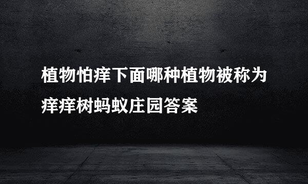 植物怕痒下面哪种植物被称为痒痒树蚂蚁庄园答案