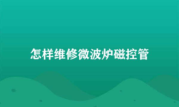 怎样维修微波炉磁控管
