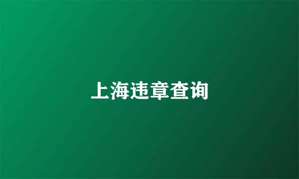上海违章查询
