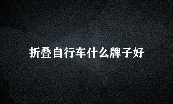 折叠自行车什么牌子好