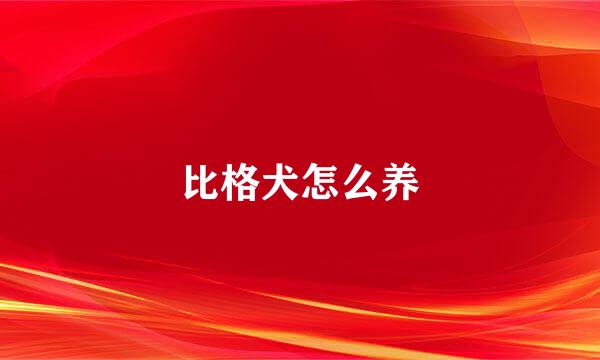 比格犬怎么养