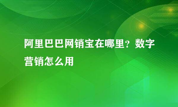 阿里巴巴网销宝在哪里？数字营销怎么用