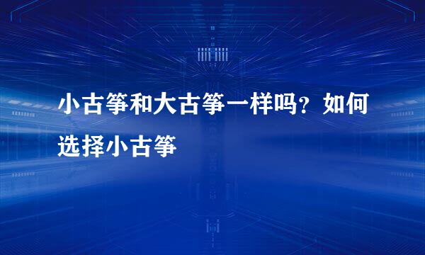 小古筝和大古筝一样吗？如何选择小古筝