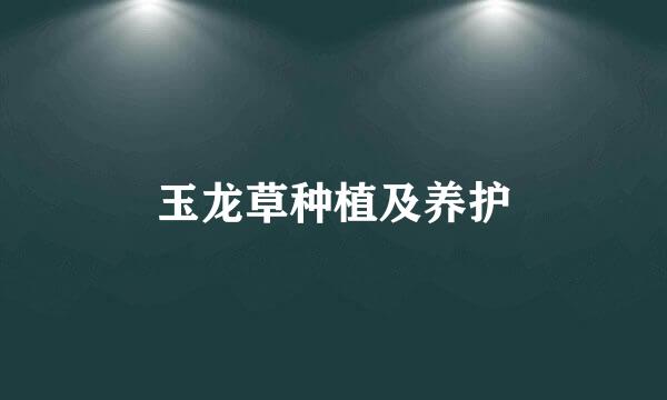 玉龙草种植及养护