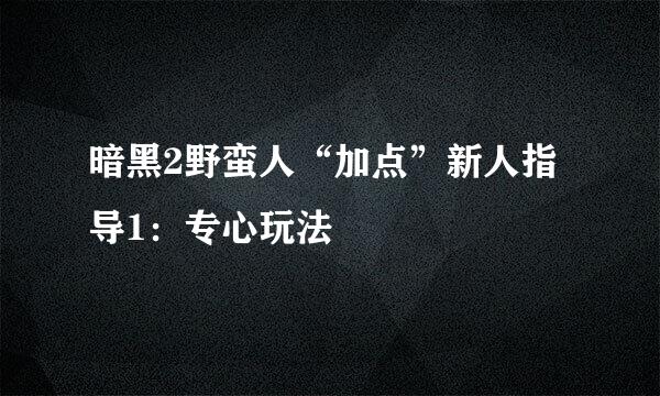 暗黑2野蛮人“加点”新人指导1：专心玩法