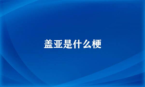 盖亚是什么梗