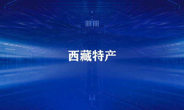 西藏特产