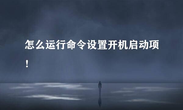 怎么运行命令设置开机启动项！