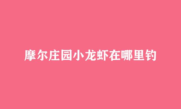 摩尔庄园小龙虾在哪里钓