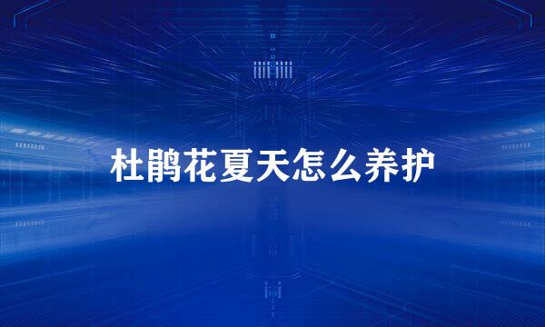 杜鹃花夏天怎么养护