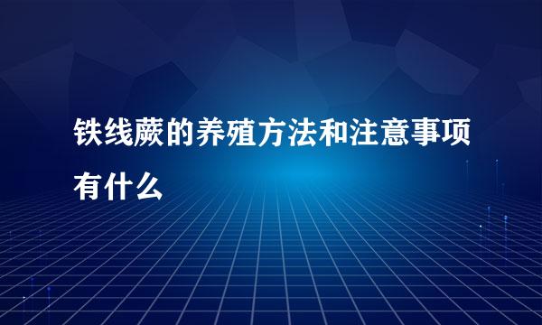铁线蕨的养殖方法和注意事项有什么