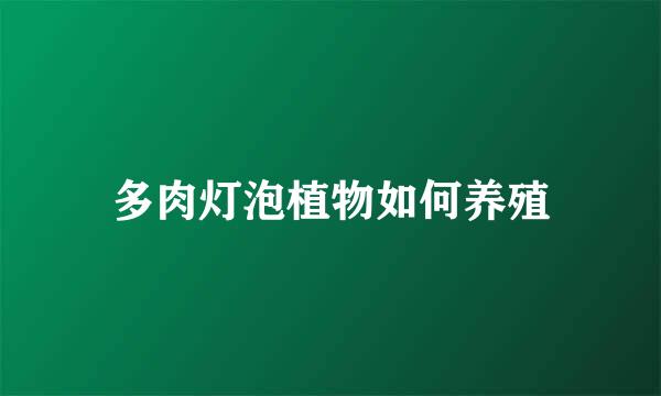 多肉灯泡植物如何养殖