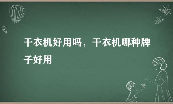 干衣机好用吗，干衣机哪种牌子好用