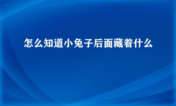 怎么知道小兔子后面藏着什么