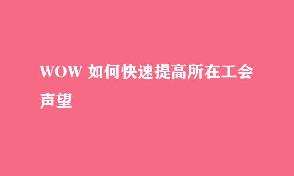 WOW 如何快速提高所在工会声望