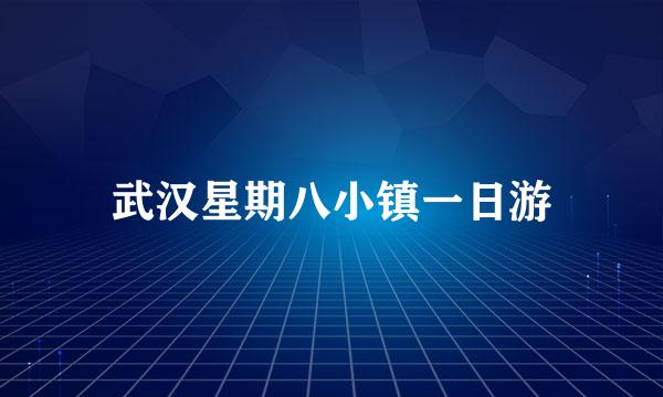 武汉星期八小镇一日游