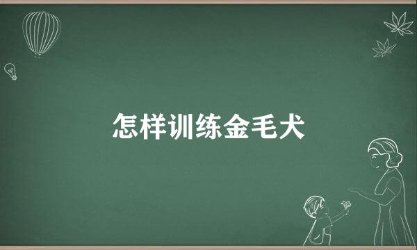 怎样训练金毛犬