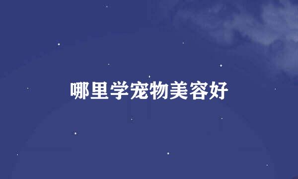哪里学宠物美容好