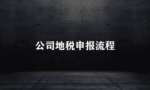公司地税申报流程