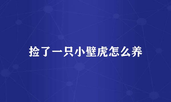捡了一只小壁虎怎么养